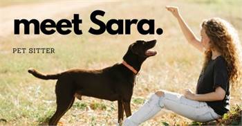 Meet Sara - Petsitter