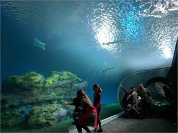 Pacific Seas Aquarium