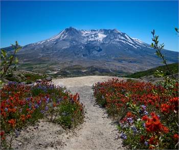 Exploring the Wonders of Mount St. Helens Visitor Center