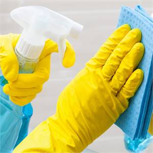 FNH Cleaning Service LLC: Your Premier Cleaning Partner in Lakewood, WA