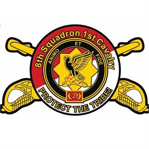 8th Squadron, 1st U.S. Cavalry