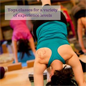 Online Classes, Teacher Training and more - Three Trees Yoga & Healing Arts Center