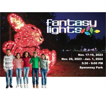 FANTASY LIGHTS - Spanaway Park
