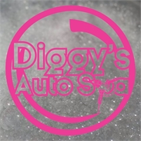 Diggys Auto Spa Ryan Lorenz