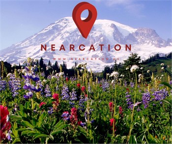 Embrace the Beauty of a Nearcation: Exploring Mount Rainier from JBLM