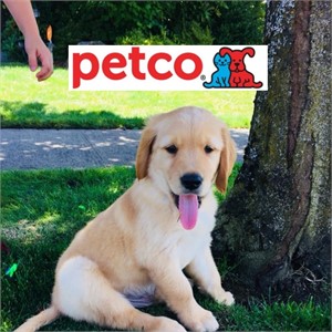 Petco to Open On-Installation Retail Stores with the Exchange